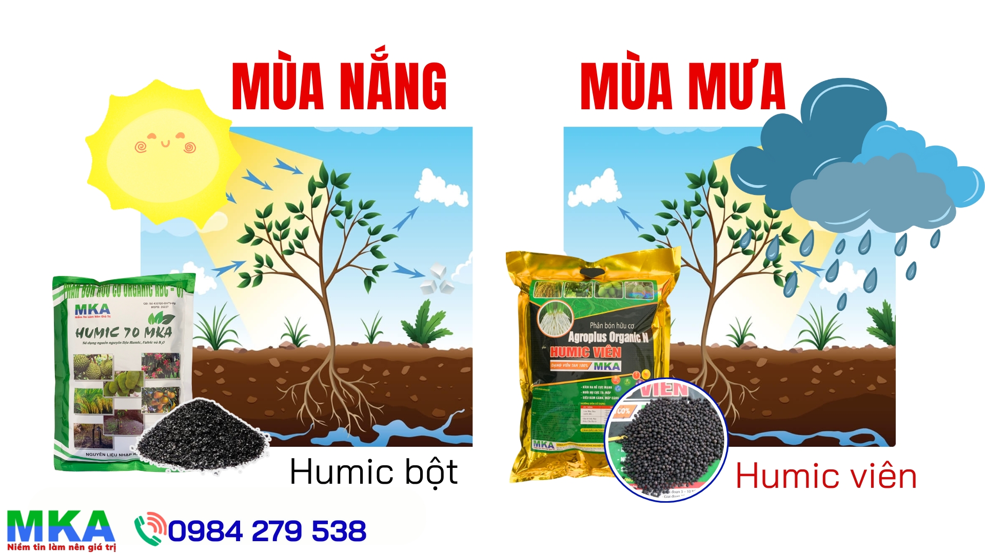 Kỹ thuật chăm sóc sầu riêng mùa mưa